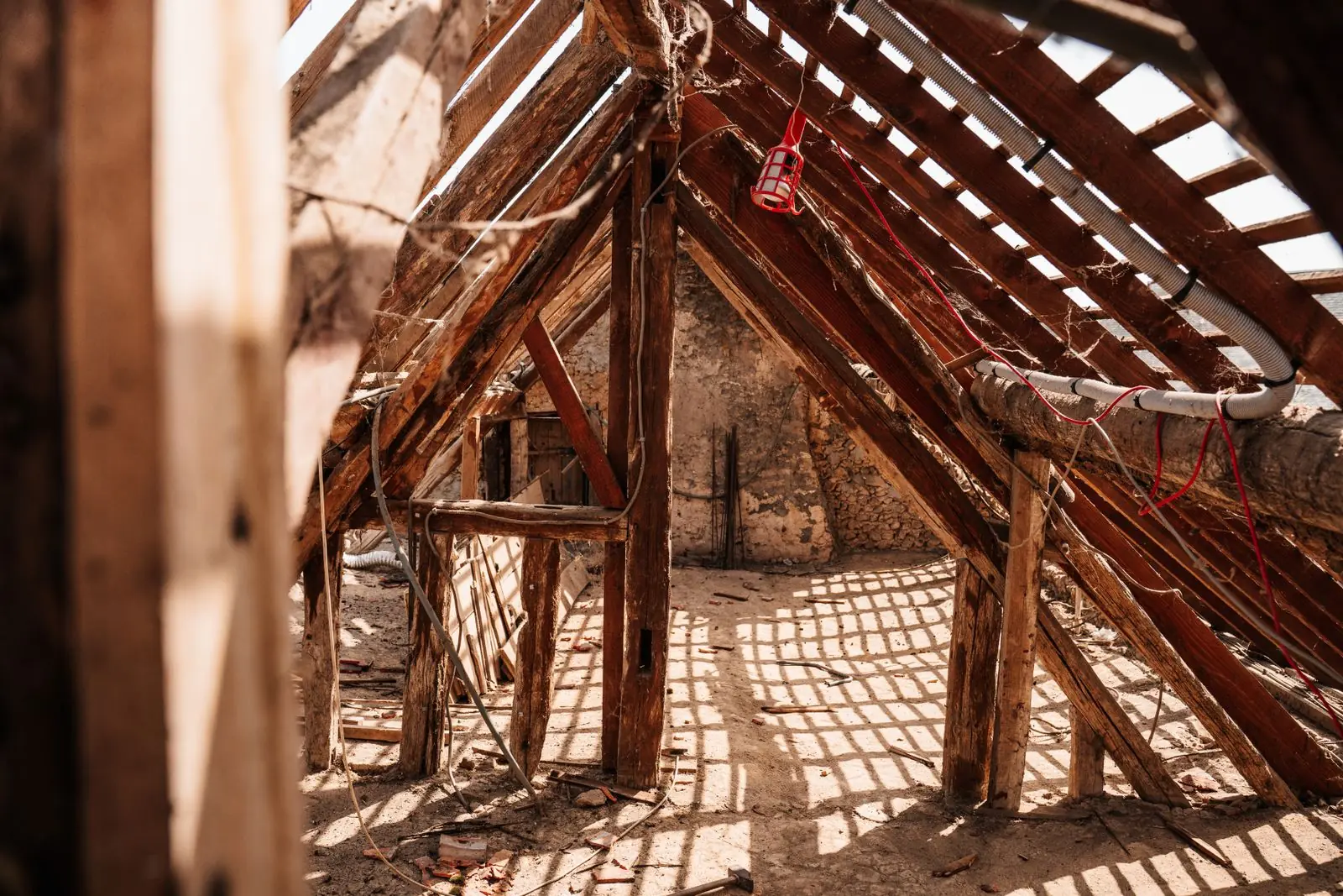Wide view of attic rafters with daylight filtering through